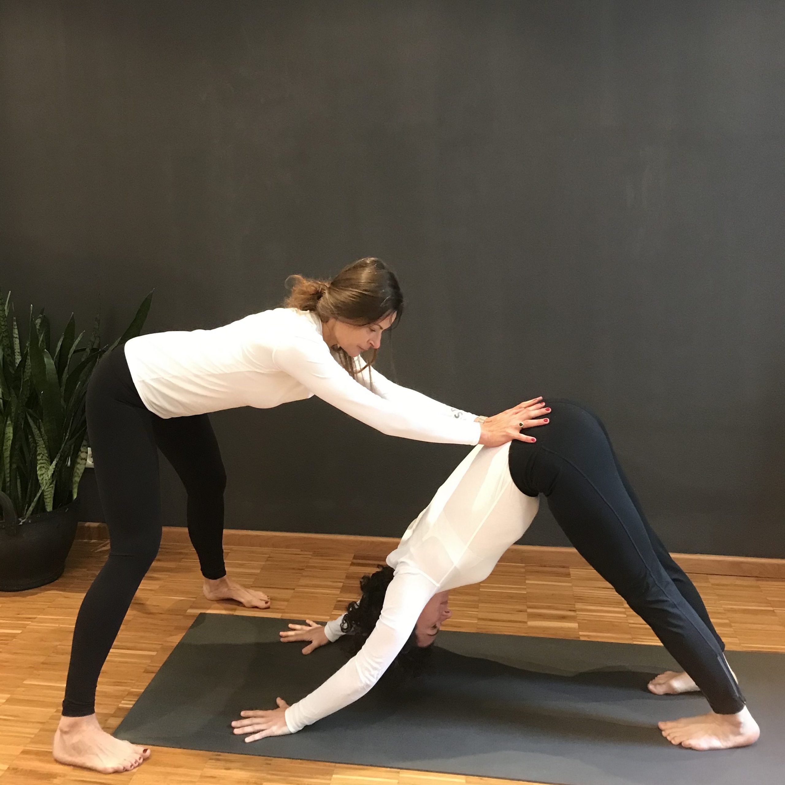 Eva - Hilfestellung Hund